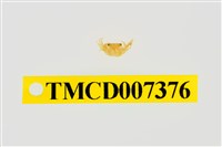 藏品(雙色澤蟹)的圖片